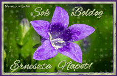 Az Erneszta nv jelentse s eredete, Erneszta nvnapok s nvre szl kpeslap Erneszta nvnapra.