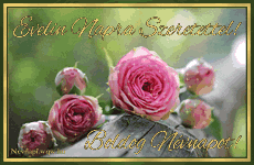 Az Evelin nv jelentse s eredete, Evelin nvnapok s nvre szl kpeslap Evelin nvnapra.
